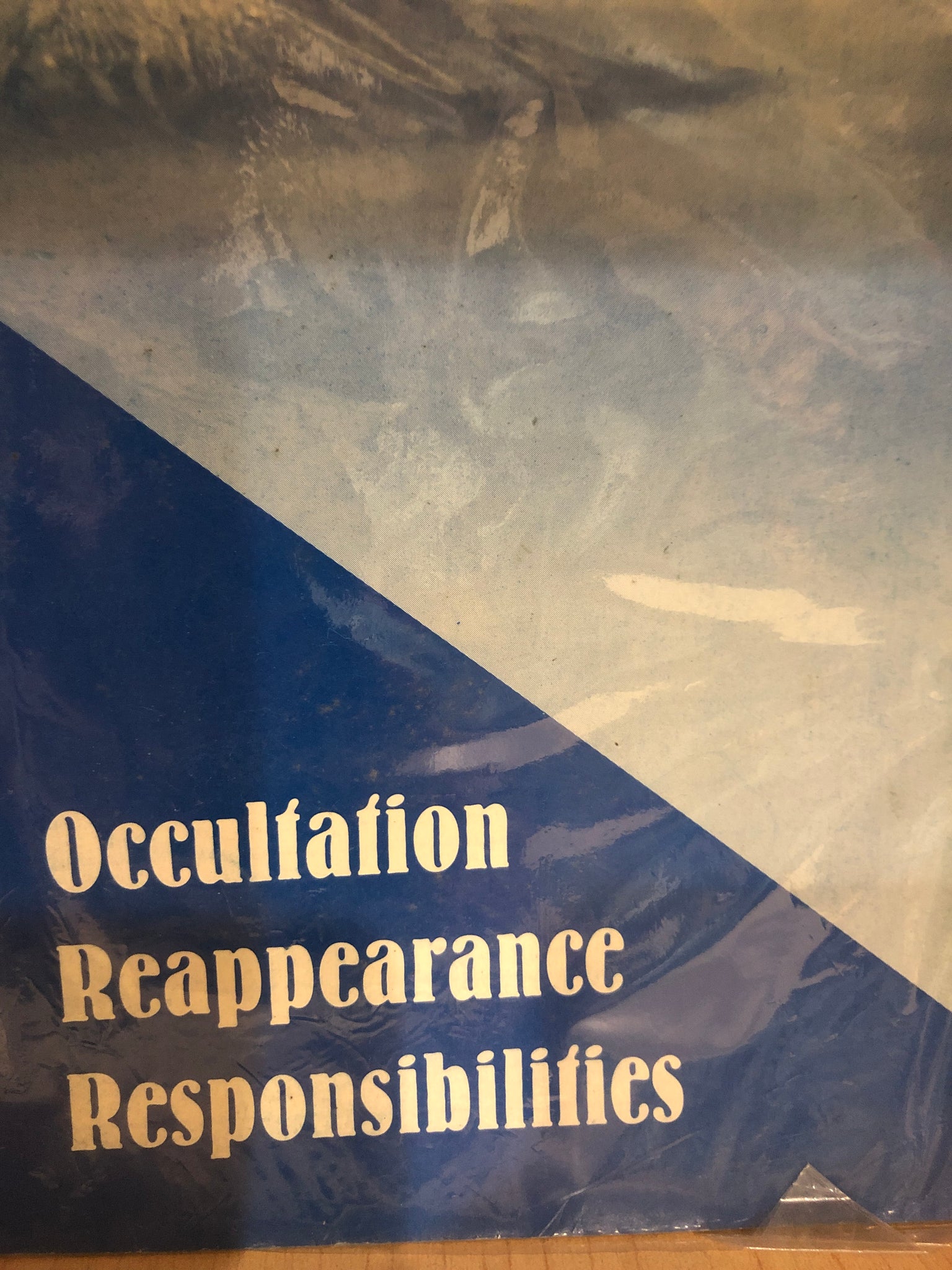 Occultation Reappearance Responsibilities