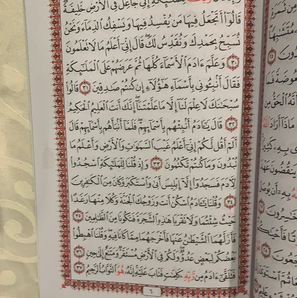 Holy Quran ( Case - Set of 30 - Usmani Taha Script - Large)